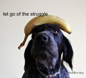 ffffffffffffffffffffffffffffffff 002