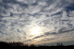 vvvvvvvvvvvvvvvvvvvvvvvvvv 026