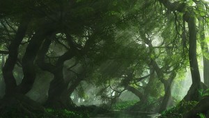 light-through-the-trees-51-600x340